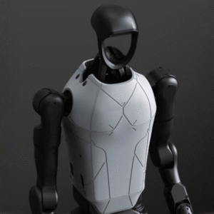 Hank humanoid robot