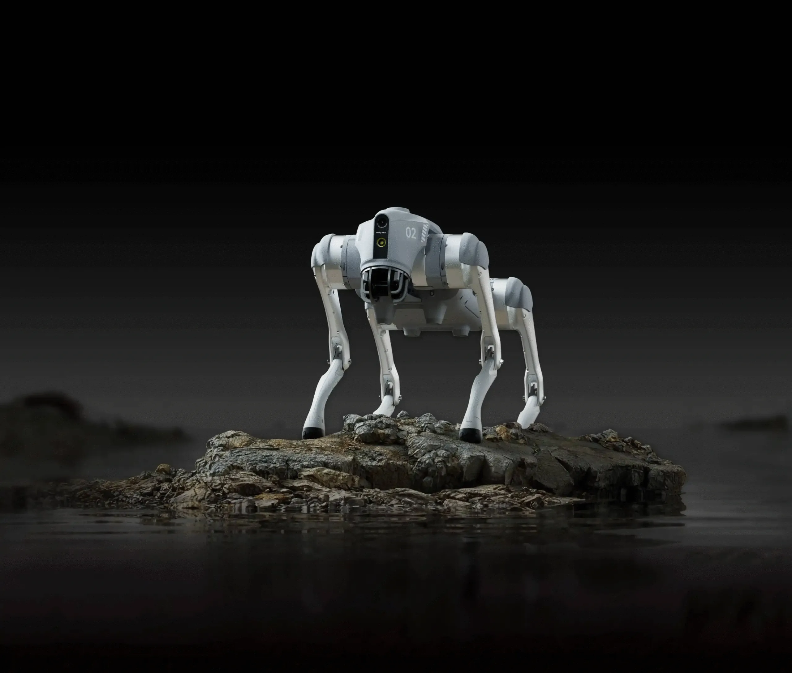 go2 quadruped robot dog on rock