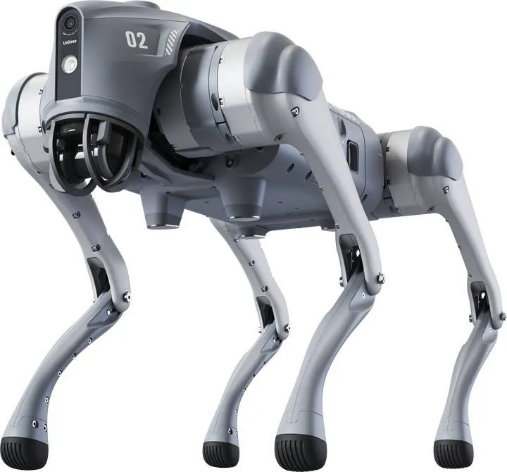 SHEP 2 SHEP - Image 2